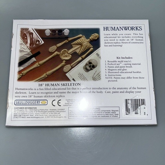 Human Works 18" Human Skeleton Hand On Learning Modeling Kit Eyewitness Kits NEW - Picture 5 of 6